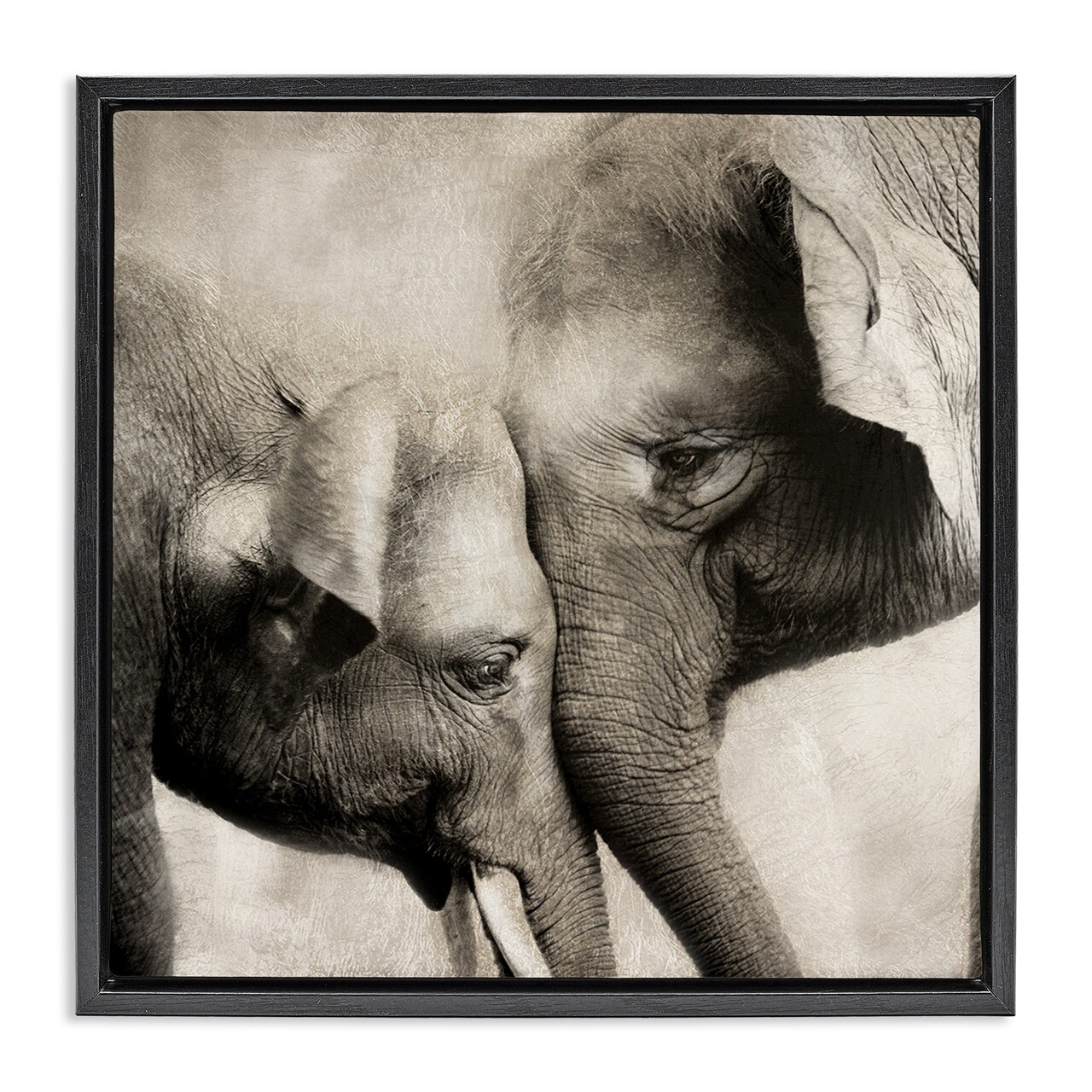 Stupell Industries Elephant & Baby Hug Floating Frame Design by CAD Designs
